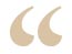 Ricci Partners Testimonials Quote Icon